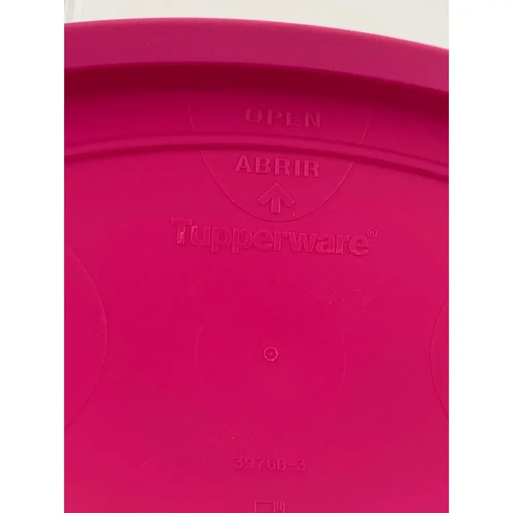 Tupperware Food Storage Container Next Generation Pouring Pink Dry Airtight